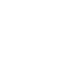 icons8-bmw-100